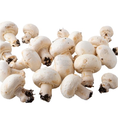 Шампиньоны свежие 500 г - купить в Шугрэме